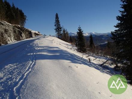 Himlesdalen 175